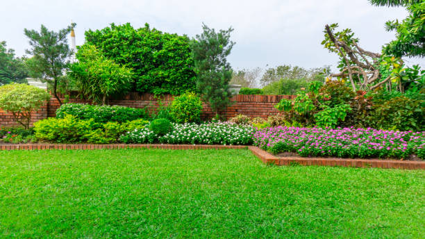 Garden Landscaping Dubai