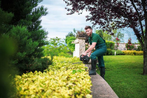 Landscaping Services Dubai