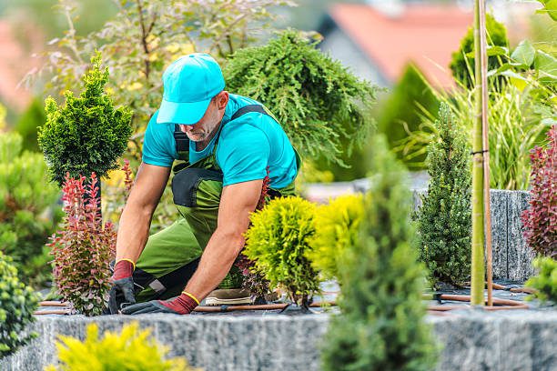 Swimming Pool Cleaning Dubai