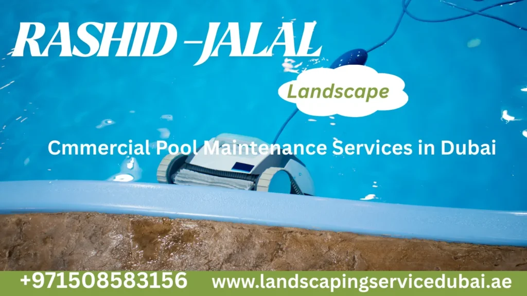 pool-servicing-services-in-dubai
