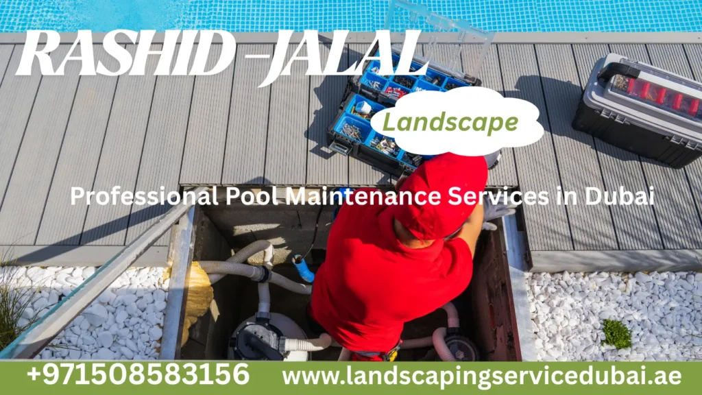 professional-pool-maintenance-services-in-dubai
