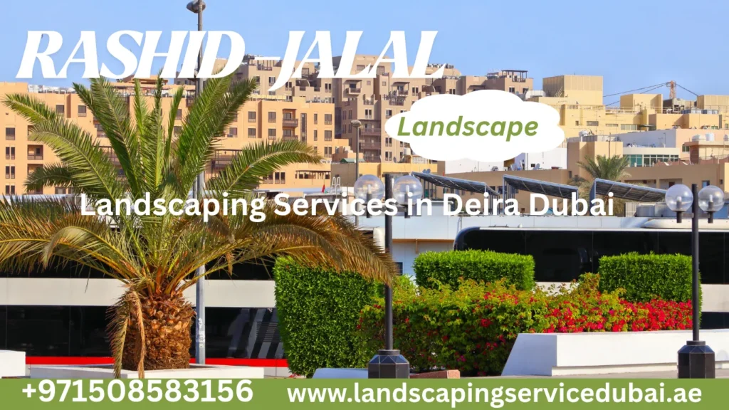 landscaping-services-in-deira-dubai
