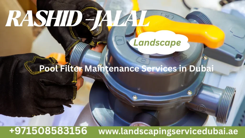 pool-filter-maintenance-services-in-dubai
