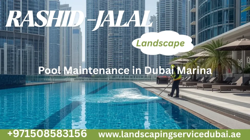 pool-maintenance-in-dubai-marina