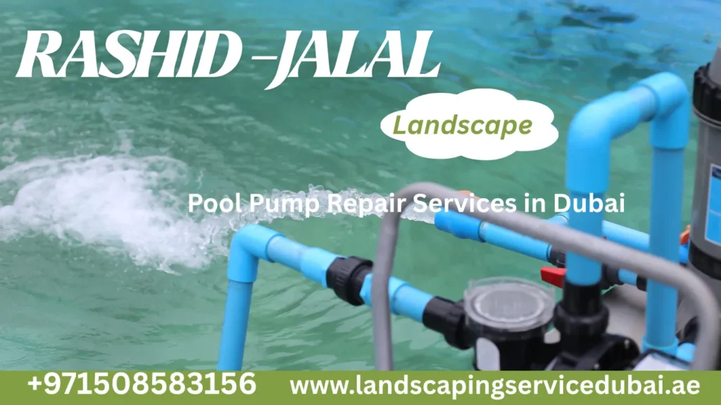 pool-pump-repair-services-in-dubai
