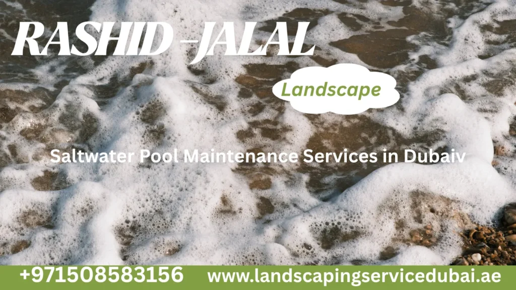 saltwater-pool-maintenance-services-in-dubai