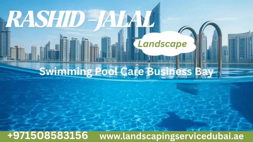  swimming-pool-care-business-bay
